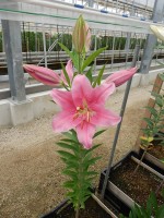 [4534 VH10 Monferrato No01.JPG]